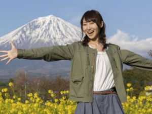 �鷿�´���ô���� �鷿�´����ܸ�����