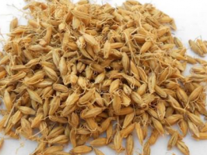 �����Ĺ�Ч���� �����ܴ�����̥