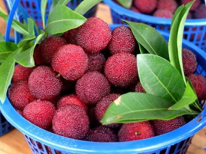 ��÷�óԵ����ñ��� �����ѡ��÷��