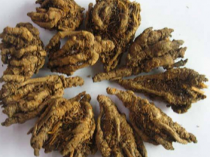 �������Ż����Ĺ�Ч���� �������Ż�����Ӹ����ʹ