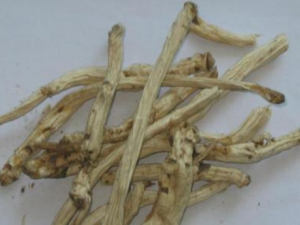 ����Ӧ������� ���������ƫ��