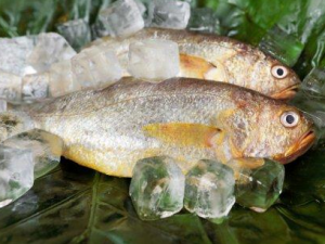 ������������𷽷� �����ѡ��������