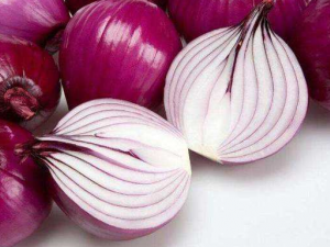 ������������� ��п�������Ѫ�ܽ�����