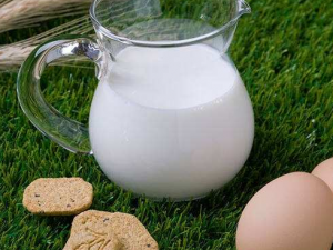 ��������ţ�� ��ţ���뺬����������Щ������