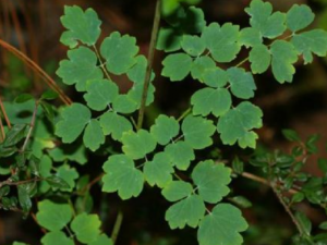 �������¸���ô���� �������µ�����ƫ��