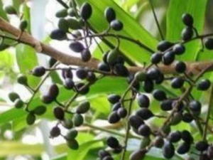 ���ʵ�Ĺ�Ч���� ���ʵ�μ��Ծ���