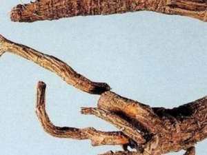 ����������Щ��Ч ��������ˮͨ����ˮ�׸���