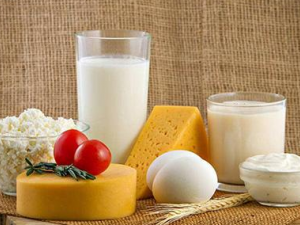 ʲô����ţ�̺��� С����������ѡţ��