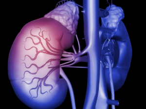 �Ⱦ�����������ע����ʳ �Ⱦ����������ʳ��Щҩ