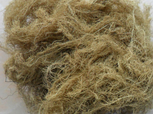 �Ͼ���Ĺ�Ч���� �Ͼ������������