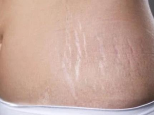 Ϊʲô�᳤������ ����������Σ����