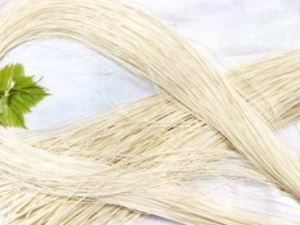 Ӫ���������Ӫ���� һ��������Ӫ�����������