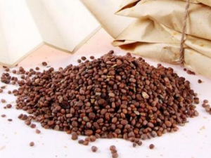 ���ʵĹ�Ч���� ��������̵ֹ���η�����Ѫ