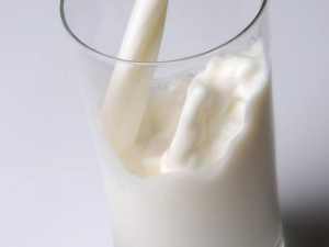 ţ�̺�̫���׻��������� �������ɵ���ʳ����