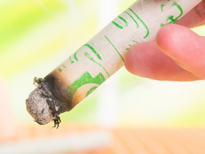 �������ĵĺô�����Щ�� �������ĵķ���