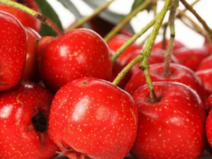 �＾�ʺϳ���Щˮ�� �＾������ʲô��