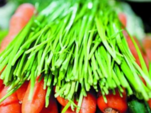 ���¶�����ı������� ��Դ��¿���ǿƢθ֮��