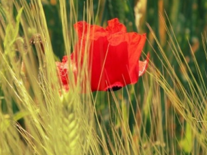 ���·���������� ������Щ�õ���������