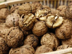 Ժҿɼ廼֢ļ ÿԶٺҺ