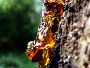 ����������Щ���� ��������Ŀ��