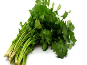 ��˳Զ��˶����岢���� ������˵����ѿ�����