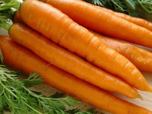 ��¶�������ע�Ᵽů ��¶�����������ؼ�