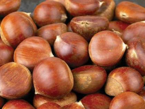 ���ǵĹ�Ч���� ����������