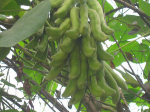 �趹�Ĺ�Ч���� �趹����������