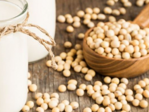 Ӥ��ʹ��ҧ��������Щ���� ���������ڼ�Ļ�������