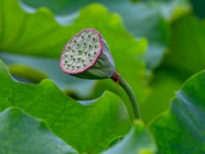 ����ݵĹ�Ч���� ������θ�����Ӹ����