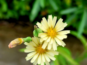 �������������� ����ЩҪע��Ľ�����