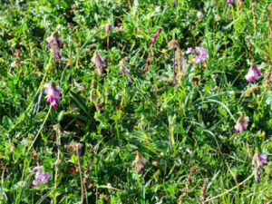 ���μ����Ĺ�Ч���� ���μ���������