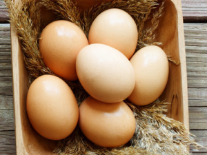 �ļ������ױ���Ӧ��α��� �������ڼ���Ҳ�����Ŷ