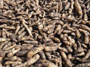 �շ��ΰ��Ĳ�����ʳϰ�� ��Ҳ����