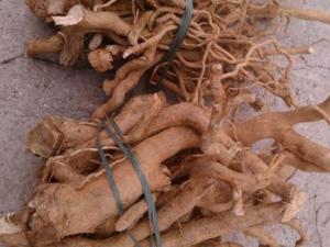 С�����Ա����Ӧ���Ԥ�� С�����Ա���׵���ʳ����