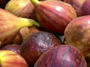 ��ν������޻��� ���޻�������ɳ���������