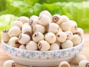 ���ӿ����ȸ�� �������ڲ����಻��