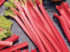 ���۲�����Щ�������� ���۲˿���Ѫ����