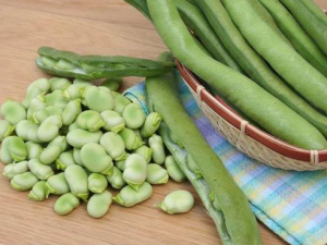 ��Զ����Ի�����Ѫ�� ��֪����