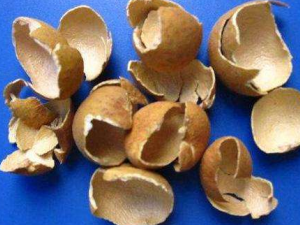 ���ۿ�������Щ���� ���ۿ�������ͷ��