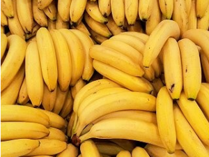 �����Ƥ�����۹��� С��������ʲô