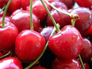 8��ʳ���ǿ���ר�� ��֪�����İ�����