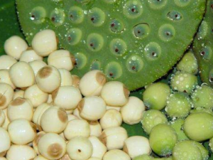 �ڸ���������ô������ �ڸ������֢״������������