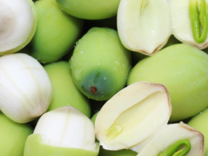 ����ʧ������Ѫ�й��� ��ҽ�������������