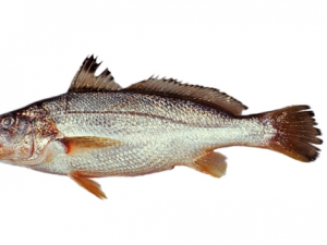 ����Ⱦ����������к� ��ô��ѡ����Ⱦ������