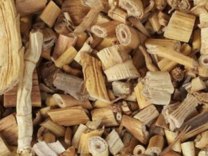 «������Ȳ����� «���������Щ����