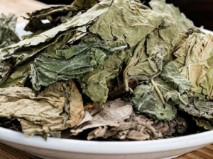 ����������ô���� ���������ҽ����ƫ��