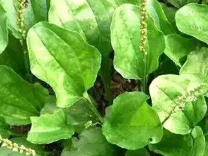 ��Ǯ���복ǰ�ݴ�������Щ����