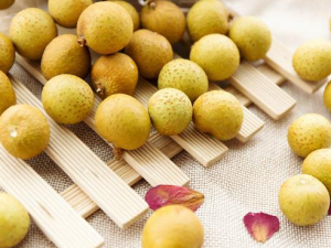 С���ļ������������Ӧ�� С���ļ�����ô��ʳ