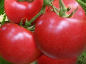 ʲô����²��ܳ������� ������ʲô�˲���ʳ��